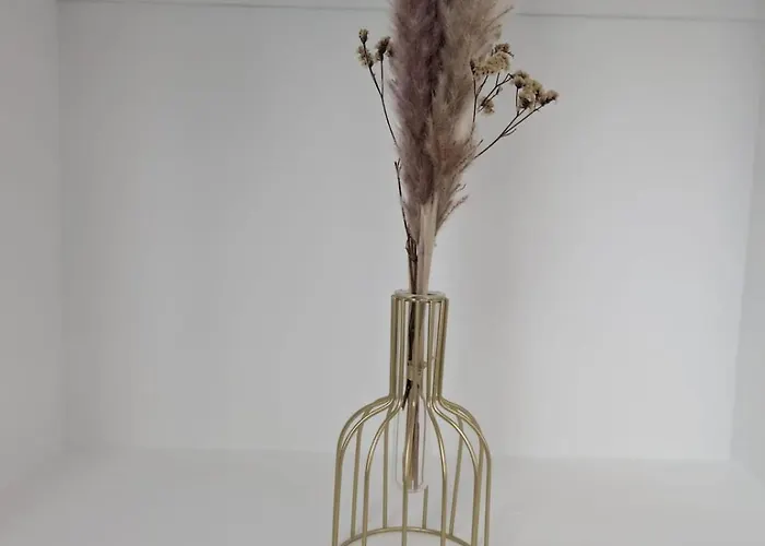 Refuge Lumineux Au Pied De La Cathedrale